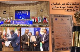 Leadership and Vision: The Strategic Planning Behind Iranian Babak Copper Company.