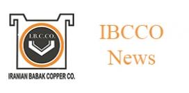 IBCCO News